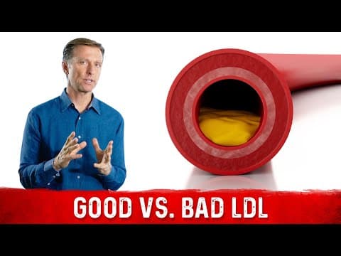 You Have Good and Bad LDL (low-density lipoprotein) thumbnail