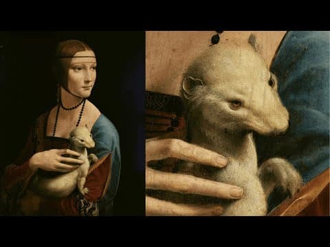 Proof That Leonardo da Vinci Was a Genius thumbnail