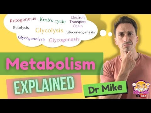 Metabolism Overview thumbnail