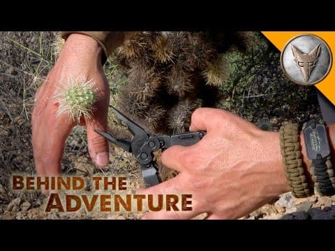 Ouch! Jumping Cactus Attack! thumbnail