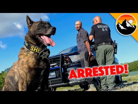 How Do Tactical Dogs Catch Suspects in Training Scenarios? thumbnail