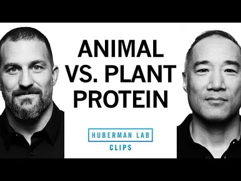 The Truth About Animal vs. Plant Protein Quality | Alan Aragon & Dr. Andrew Huberman thumbnail