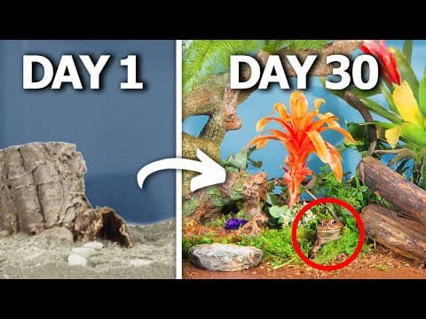 Simulating a Rainforest for 30 Days thumbnail