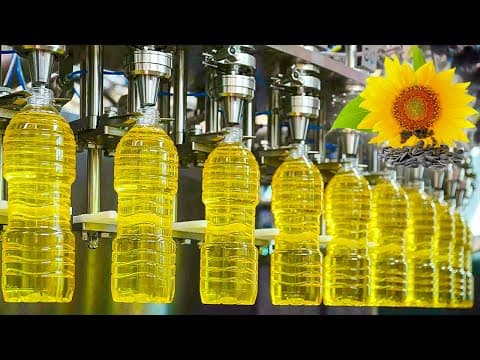 Mega Sunflower Oil Factory | How Sunflowers are Harvested & their Oil Extracted thumbnail