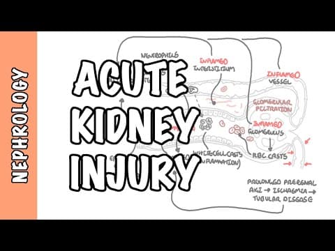 Acute Kidney Injury (AKI) - prerenal, intrarenal and postrenal causes and pathophysiology thumbnail