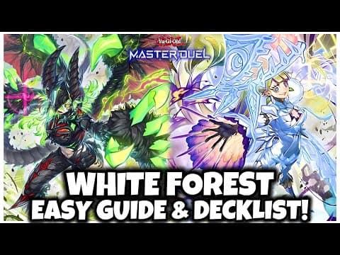 WHITE FOREST AZAMINA | EASY GUIDE & DECKLIST! thumbnail