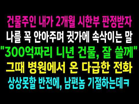 시한부 아내는 어떻게 300억 건물을 노린 남편의 음모를 알아챘나? thumbnail