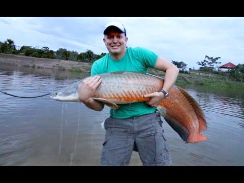 Amazon River Monster Project - Smarter Every Day 147 thumbnail