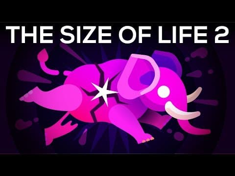 What Happens When You Change an Animal's Size? thumbnail