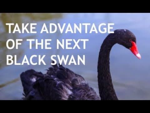 How to Invest Like Nassim Taleb for Black Swans thumbnail