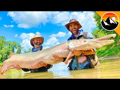 How Are Alligator Gar Being Threatened by Bow Fishing? thumbnail