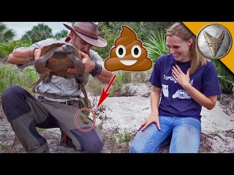 Why Does Coyote Peterson Get Pooped On by Animals? thumbnail