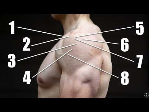 Why Your Shoulder Hurts (And What To Do About It!) thumbnail
