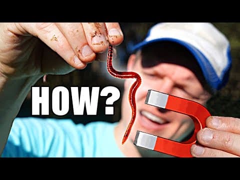 What Causes Earthworms to Be Magnetic? thumbnail