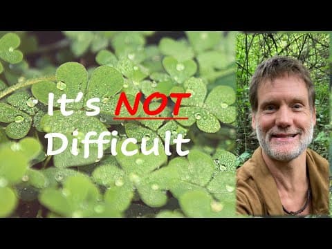 Consciousness Vs Mind- Who Is Speaking? (Self Inquiry) thumbnail