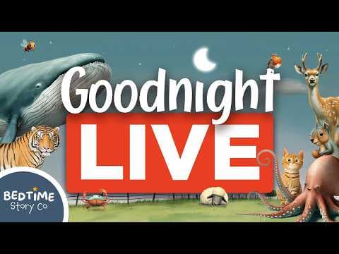 Relaxing Stories for Naps & Bedtime: Your Child's Favourite Soothing Series Live thumbnail