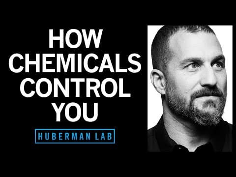 How Do Smell and Taste Affect Your Brain Function? thumbnail