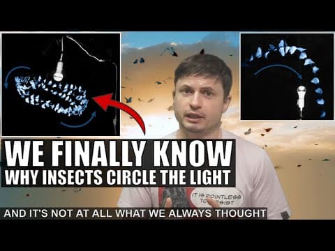 We Were Completely Wrong About Why Bugs Are Attracted To Lights thumbnail