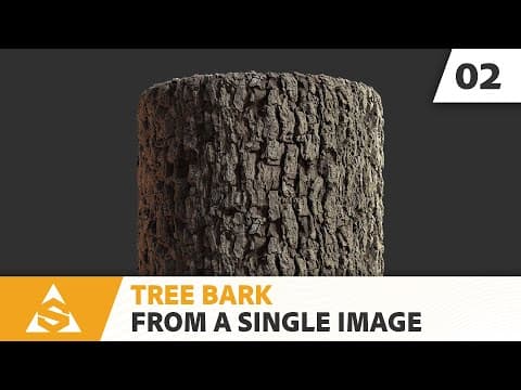 Tree Bark - from a Single Image with Substance Alchemist | Adobe Substance 3D thumbnail