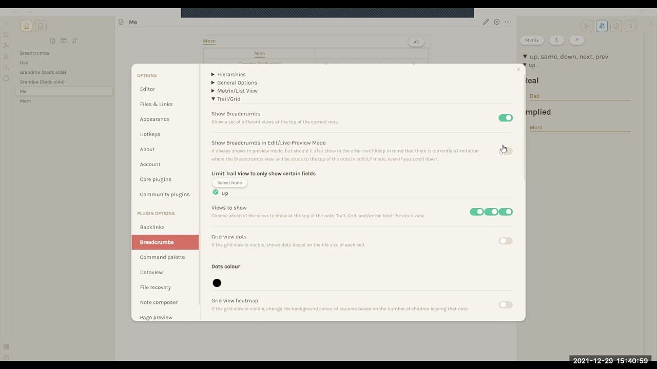 YouTube video player