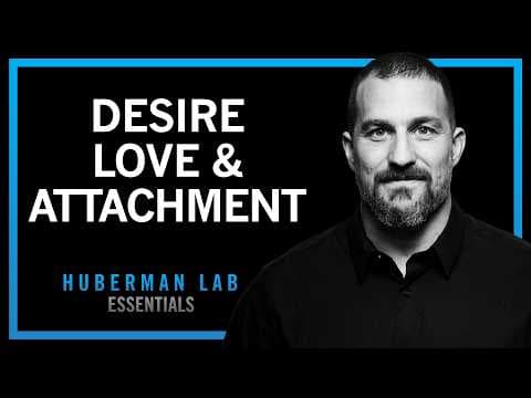 The Science of Love, Desire & Attachment | Huberman Lab Essentials thumbnail