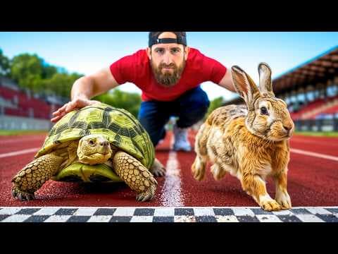 Tortoise vs. Hare - Who Wins? thumbnail