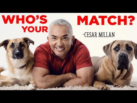 Cesar Millan - Doing THIS will help you pick the right dog, job or romantic partner thumbnail