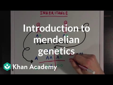 An Introduction to Mendelian Genetics | Biomolecules | MCAT | Khan Academy thumbnail