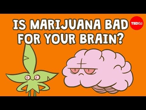 Is marijuana bad for your brain? - Anees Bahji thumbnail
