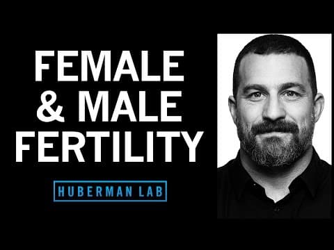 How to Optimize Fertility for Both Men and Women thumbnail