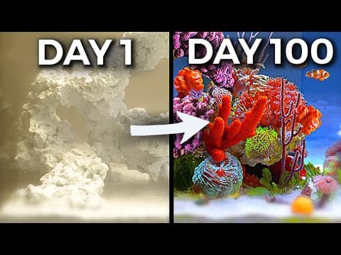 Simulating an Ocean for 100 Days thumbnail