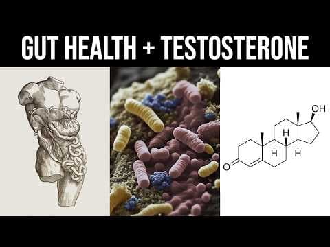 Your Gut Health Might Be Causing Low Testosterone thumbnail