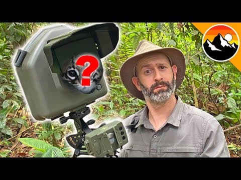 What Rare Animals Did the Camera Trap Capture in Costa Rica? thumbnail