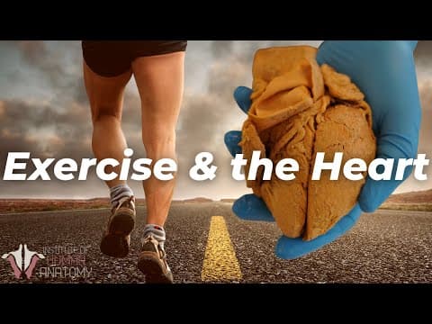 How the Heart Changes with Exercise thumbnail