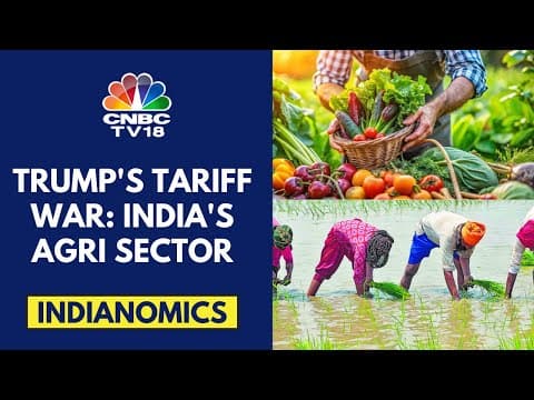 Trump's Tariff War: How Will It Impact India's Agriculture Sector | Indianomics | CNBC TV18 thumbnail
