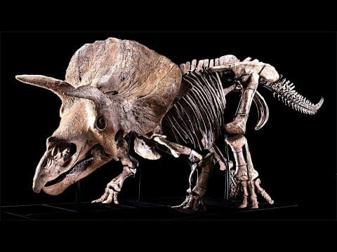 You Can Buy This Dinosaur thumbnail