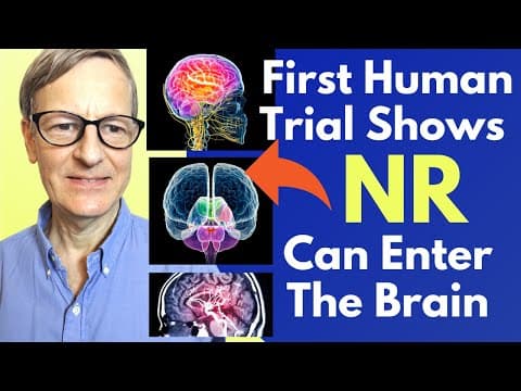 First Human Trial Shows NR Can Enter The Brain And Reduces Biomarker For Alzheimer's thumbnail