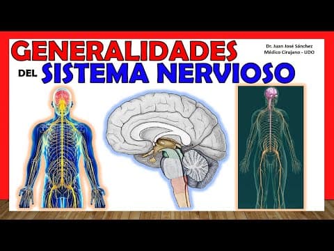 🥇 SISTEMA NERVIOSO en 14 minutos!!!. Generalidades - ¡Explicación Sencilla! thumbnail