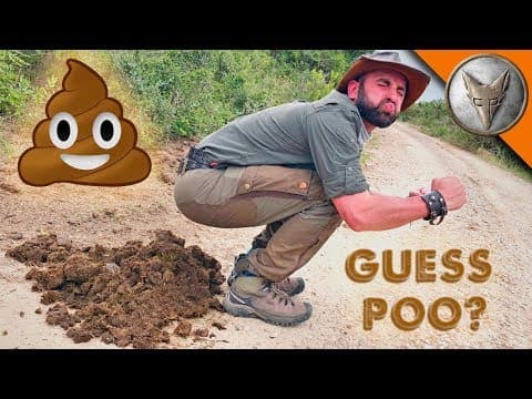 What Can Animal Droppings Tell Us About Wildlife? thumbnail