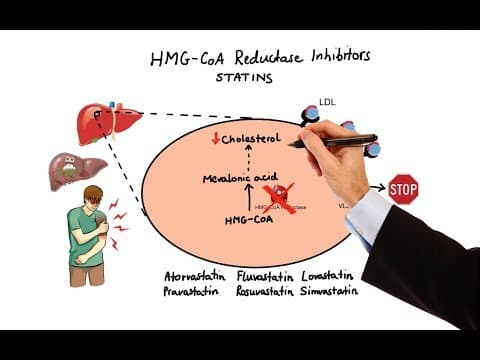 Pharmacology - DRUGS FOR HYPERLIPIDEMIA (MADE EASY) thumbnail