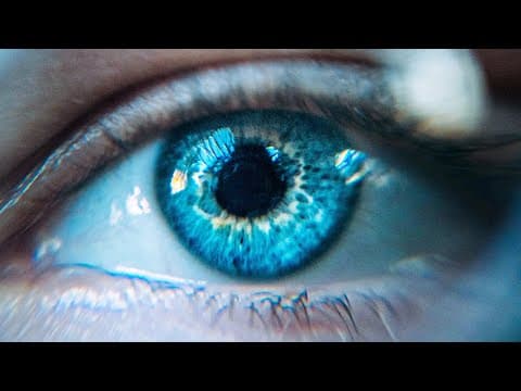 What Should You Do If Money Were No Object? thumbnail