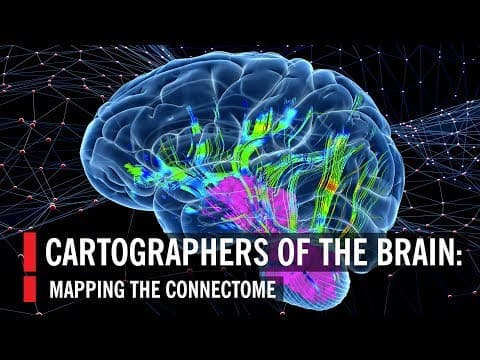 What Is the Human Connectome and How Is It Mapped? thumbnail