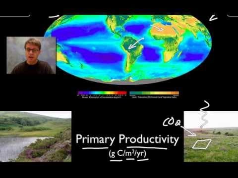 Ecosystems thumbnail
