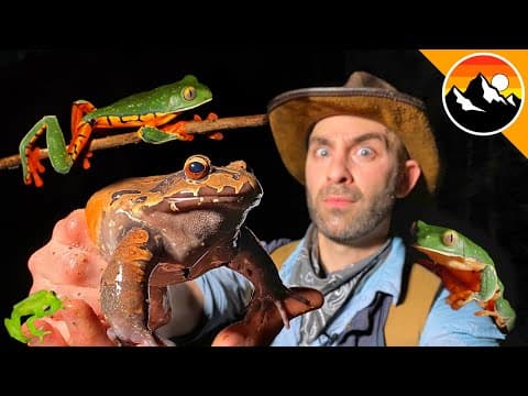 What Makes the Giant Desert Centipede's Bite So Painful? thumbnail