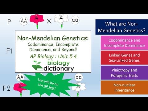 Non-Mendelian Genetics: Codominance, Incomplete Dominance, and Beyond! | AP Biology 5.4 thumbnail