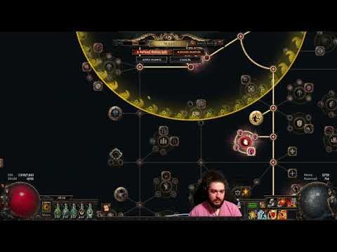 POE1 - What Mercenary to use with RF & Why? thumbnail
