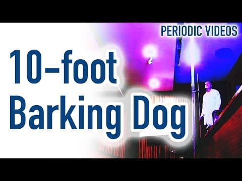 10-foot Barking Dog - Periodic Table of Videos thumbnail