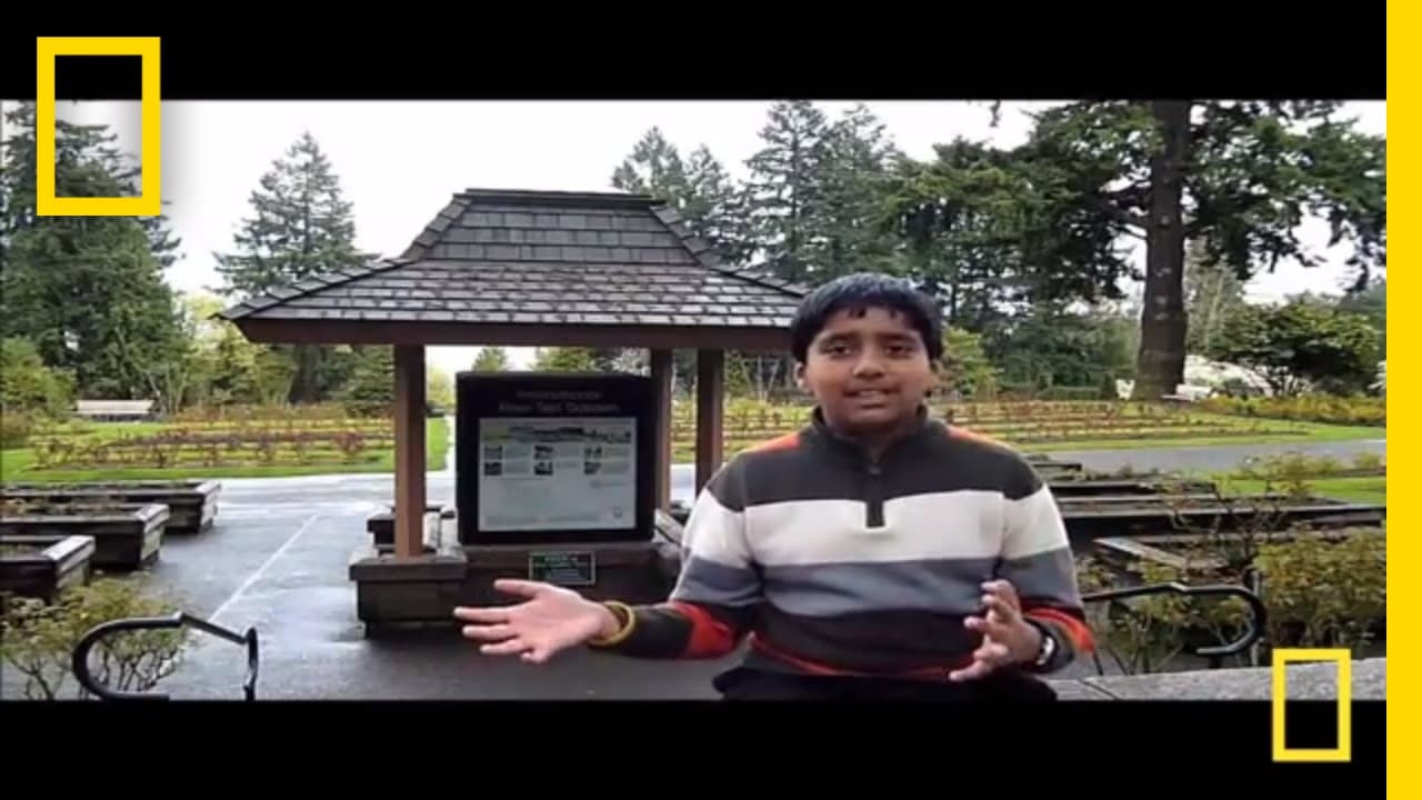 YouTube video player