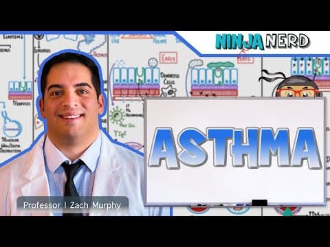 What Is Asthma? Pathophysiology, Triggers, and Signs thumbnail