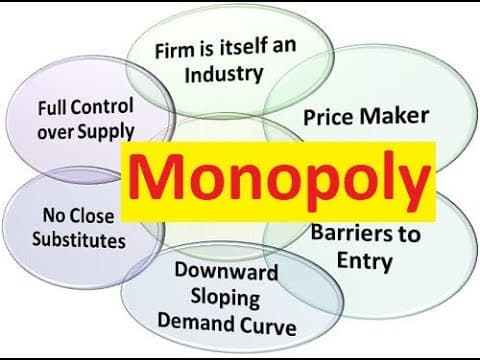 Ch 4-2: Monopoly Market Structure thumbnail